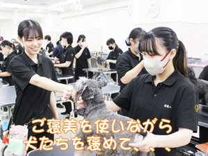 1年生が継続してステイの練習！
